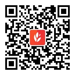 ky官方网站
